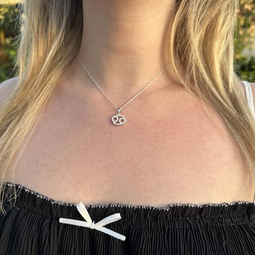 Sterling Silver or 14K Gold Over Sterling Silver Zodiac Necklace Astrology Horoscope Keepsake Card Gift - Choose Star Sign3