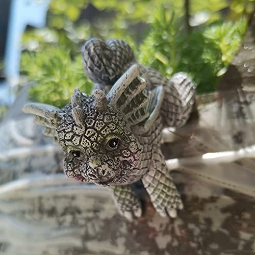 Figura decorativa 3D dinosaurio en resina set de 4 miniatura 6