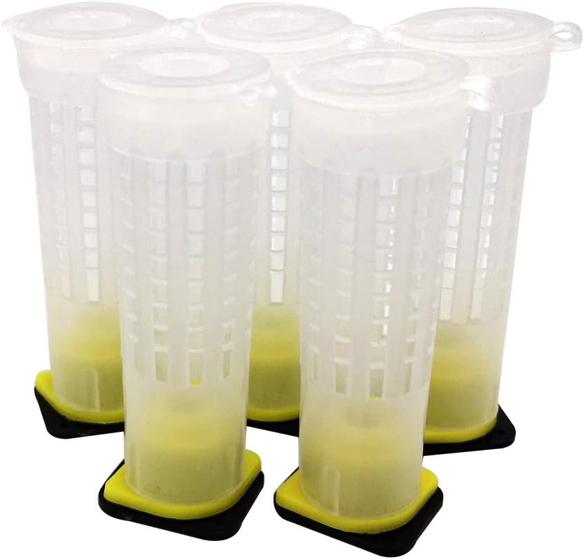 Pack of 10 Beekeeping Tools Queen Bee Rearing Cell Tubular Cup Cages Holder Fixtures