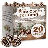 20 Large Natural Pine Cones for Crafts, 3' to 4' Tall Pine Cones Craft for Table, Home Decor, Vase Fillers, Desk & Christmas Trees, Unscented Pinecones Crafts Ornament for Decorating by Billy Buckskin