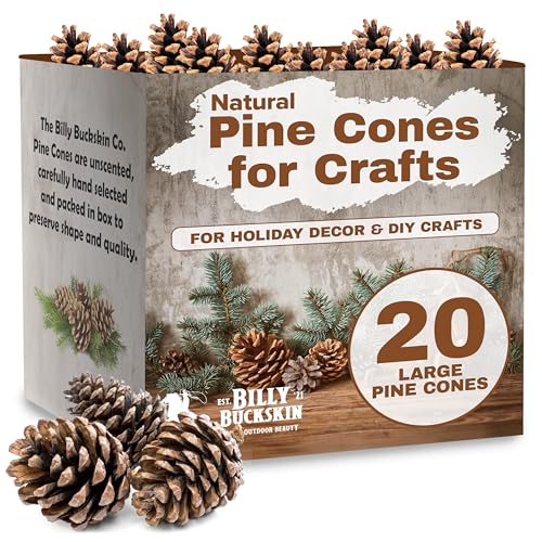 20 Large Natural Pine Cones for Crafts, 3' to 4' Tall Pine Cones Craft...