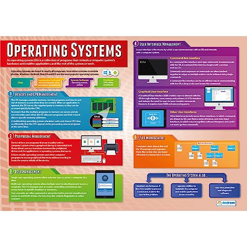 Come funzionano i muscoli | Poster di educazione fisica | Carta lucida, laminata misura 850 mm x 594 mm (A1) | Grafici per l'educazione fisica per l'aula | Grafici didattici di Daydream