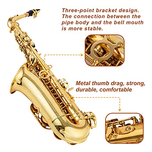 gold e flat alto saxophone brass engraved eb e-flat natural white shell button wind instrument with case belt brush