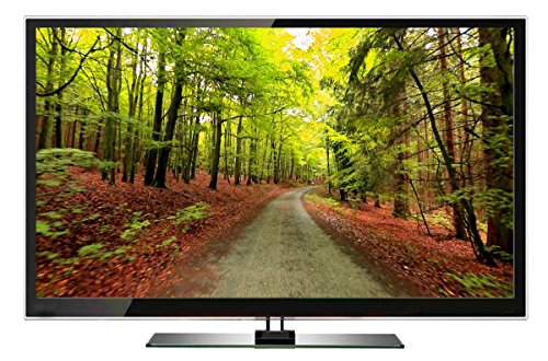 Passeggiate Virtuali - Una Giornata alla Foresta