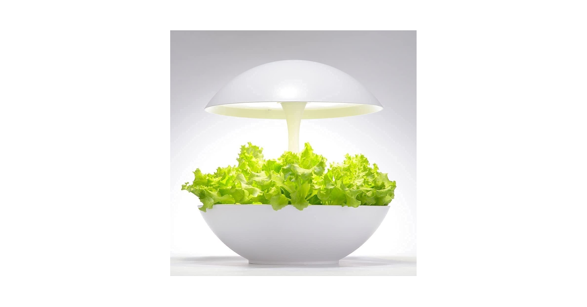 Amazon | アカリーナ akarina01 Terrara 灯菜 LED水耕栽培器