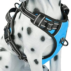 Hondenharnas, No-Pull Hondenharnas voor Middelgrote Honden, Ademend Borstharnas, Verstelbare Soft Running Harnassen Veilige Controle Gewatteerde Reflecterende Veiligheidsharnas (L, Blauw)