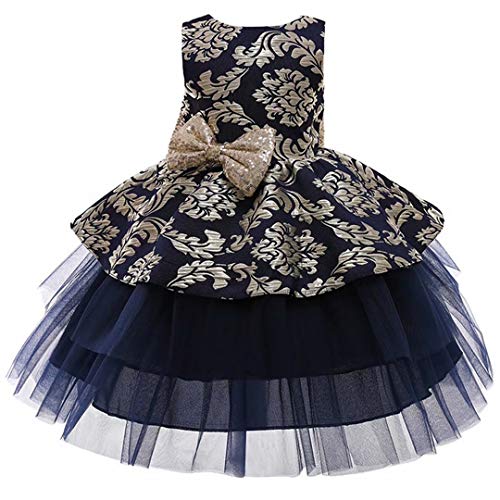 Tsyllyp Baby Girls Lace Dress Bowknot Flower Dresses Wedding Pageant Baptism Tulle Gowns