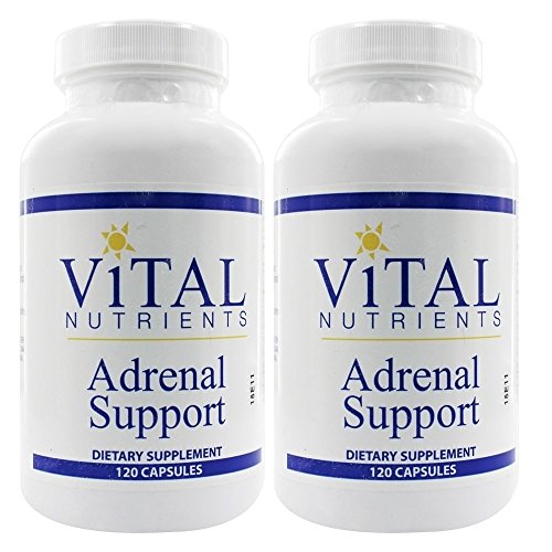 Best Vital Nutrients For Adrenal Support