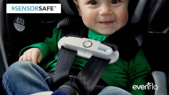 gregory uppababy UPPAbaby Vista V2 RumbleSeat