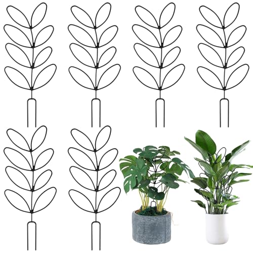 6 Stück Rankhilfe für Zimmerpflanzen,Garten...