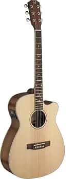 アコースティックギター 楽天市場】Fender フェンダー PALOMINO VINTAGE Sienna Sunburst