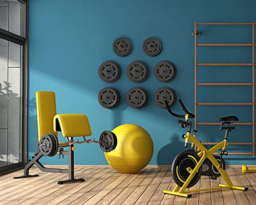 Miuono Weight Plate Holder, Wall Mounted Weight Rack Storage For 2" Olympic Weight Plate, 4 Pack Home Gym Organizer #TOP1