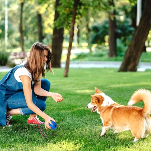 4 Ball mit Schnur Hund, ø 5/30 cm Wurfball am Seil Naturkautschuk, Hundespielzeug Ball mit Seil extrem Weite Würfe, Hundeball Snackball, Hundebälle Kleine Hunde, Große Hunde (Rot Gelb Blau Orange)