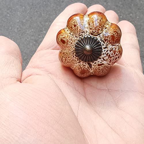 Esreake Yusheng 12 Pack Vintage Ceramic Pumpkin Cabinet Knobs, Kitchen Cabinet Drawers Dresser Cupboard Pull Handles Door Pulls With 3 Kinds Of Screws (12 Pack, Leopard) #TOP3