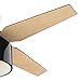HUNTER 59257 Cranbrook Indoor Ceiling Fan with LED Light and Remote Control, 52