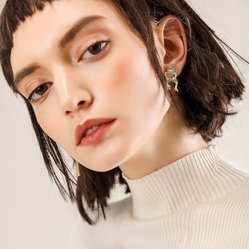 Coiris Fun Earrings for Women 3d Cool Cute Earrings Sliver Animal Post Studs Earrings Unique Cheap Funny Stuff Trendy Birthday Christmas Jewelry Gifts for Her4