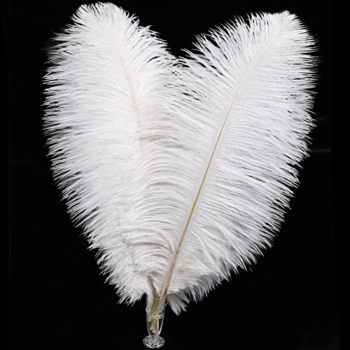 Soarer White Ostrich Feathers Bulk - 30pcs 8-10 inches for Wedding Party Centerpieces Home Decorations and DIY Crafts (White)