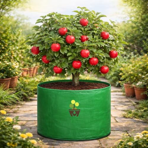 Image of MASHKI HDPE Grow Bags for Home, Terrace & Balcony Gardening - Big Size Vegetable Plant Grow Bags (15x15, 18 inchx18 inch & 24 inchx24 inch - Heavy Duty, UV Stabilized) (1, 24x24 Inches)