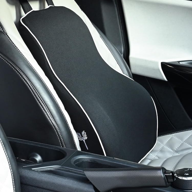 Grin Health Car Backrest Cushion with Lumbar Support for Back Pain Relief While Driving Back Support for Long Drive Car Back Rest Support Memory Foam Cushion, L-Black