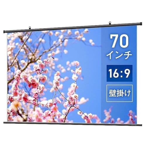 Amazon.co.jp: シアターハウス プロジェクター スクリーン 掛け軸