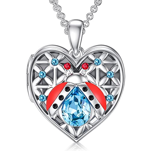 Dorunmo Ladybug Locket Necklace That Holds Pictures 925 Sterling Silver Heart Locket Necklace Photo Locket Pendant Necklace Jewelry Christmas Gifts For Women Boyfriend Boys #TOP7