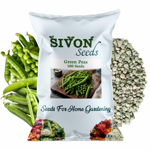 Image of SIVON Green Peas (Matar) (100+ Seeds) Vegetable Seeds for Home Garden, Organic & Hybrid, Perfect for Home Gardening, Planting For Pots and Patio