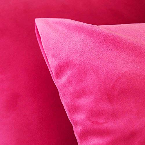 Image of Khooti Velvet Cushion Cover Pack of 1-28 inch x 28 inch / 71 x 71 cm - Pink - Soft Pillow Covers Cushion Case for Sofa Bedroom Livingroom Chair Car, Cushion Cover
