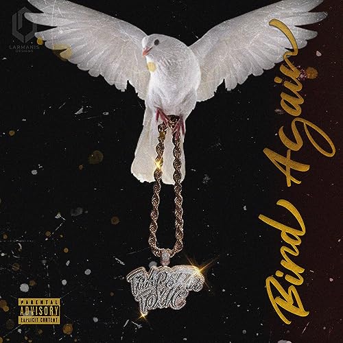 Play Bird Again by Trapstar Toxic on Amazon Music