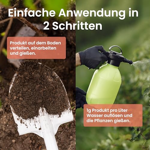 LERAVA® – Eisenchelat Dünger (200g) – Eisendünger für Pflanzen | Hortensien Dünger Eisen – Wirkt gegen Chlorose & Blattvergilbung – Kräftiges Blattgrün & sichtbarer Effekt nach wenigen Tagen 3