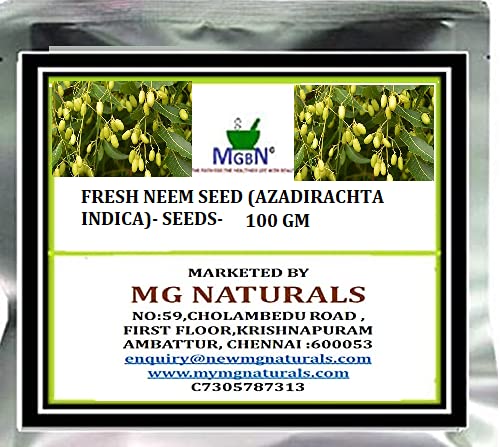 FRESH NEEM SEED (AZADIRACHTA INDICA)- SEEDS-100 GM (WITH FREE PLANT SEEDS) (B07T48G7ZN) Amazon Price History, Amazon Price Tracker