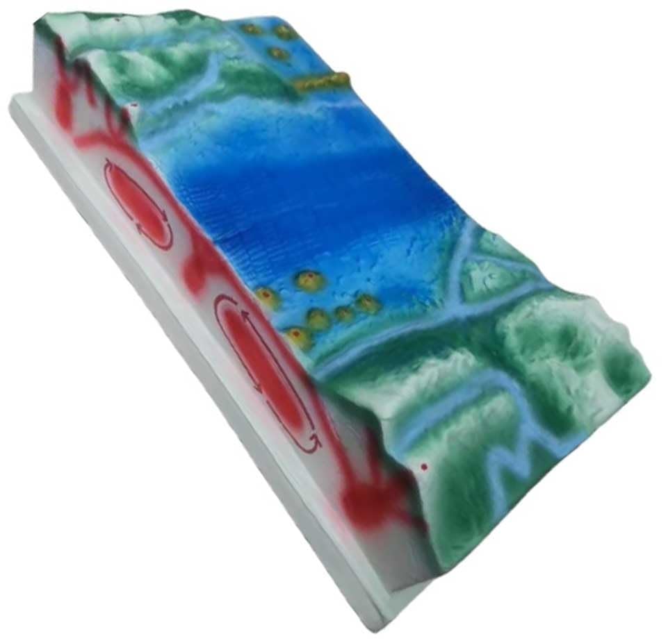 Modèle tectonique des plaques 3D en résine de 45x22x12cm pour la topographie