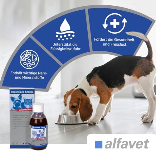 Alfavet ReConvales Energy, Doppelpack, in der Rekonvaleszenz, bei Untergewicht der Katze, hochkalorisch, appetitanregend, 2 x Glasflasche à 180ml, Diät-Ergänzungsfuttermittel