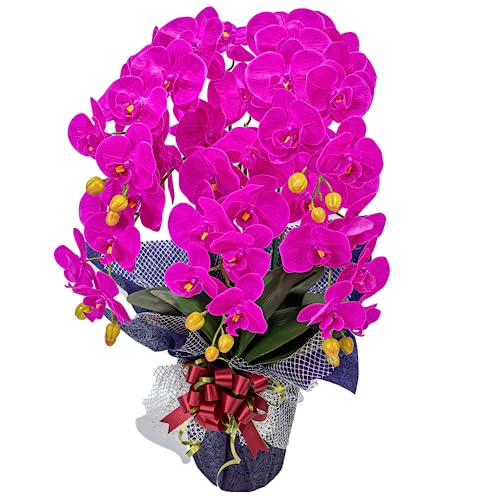 Ӓ 5{ Ԏ  1 ԕrt D bZ[WJ[h j J LO   CeA H1_011