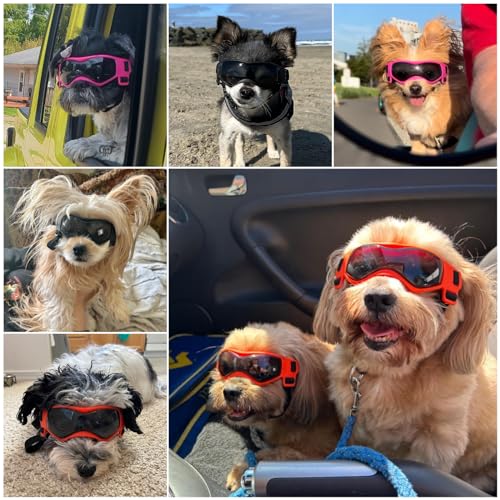Image of Small Breed Dog Goggles, Pink Sunglasses with UV Protection and Adjustable Straps