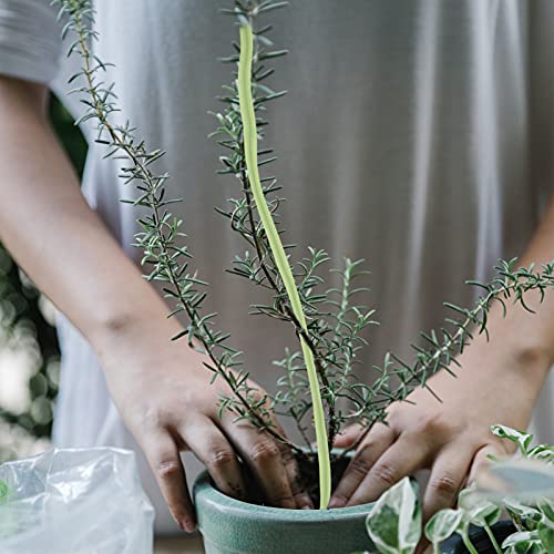 DOITOOL Green Plant Ties 50m Plant Tie Reusable Garden Plant Twist Tie Gardener Twine Garden for Supporting Tomatoes Roses Vines