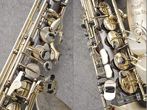 Amazon | Cannonball キャノンボール アルトサクソフォン BIG BELL