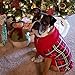 PUPTECK Dog Sweaters for Large Medium Small Dogs - Fall Classic Plaid Style Puppy Holiday Winter Coat Clothes for Female Girl Male Boy Warm