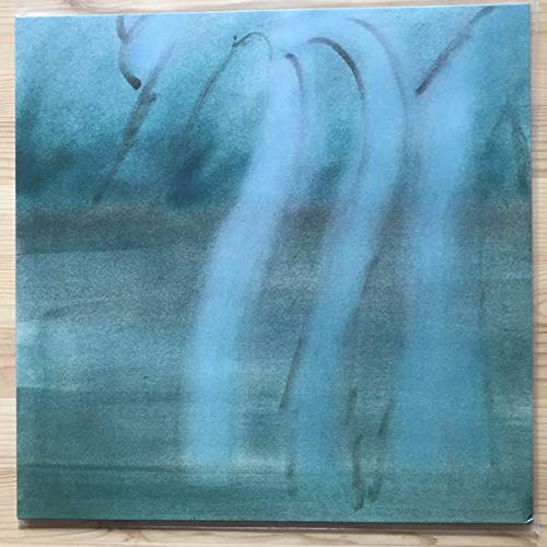 Theodore Cale Schafer - Patience - Students Of Decay - SoD-122