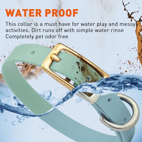 Image of Viper Biothane Heavy Duty Waterproof Dog Collar Strong Coated Nylon Webbing w /Solid Brass Hardware Odor-Proof Easy to Clean High Performance Fits Small Medium or Large Dogs, Sage Green