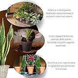 Zoom IMG-2 gebearth terriccio universale protein base Zoom IMG-2 gebearth terriccio universale protein base