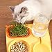 FEESHOW 3-in-1 Cat Water Dispenser and Food Bowl Set Gravity Fed Bottle Built-in Cat Grass Planter Slow Feeder for Indoor Cats Yellow One Size