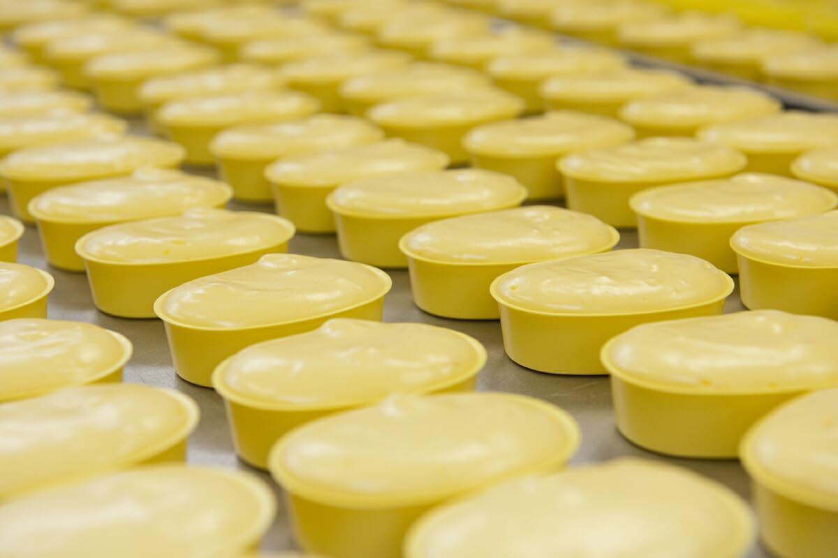 郷アルパジョン 朝の八甲田 チーズケーキ 10個入