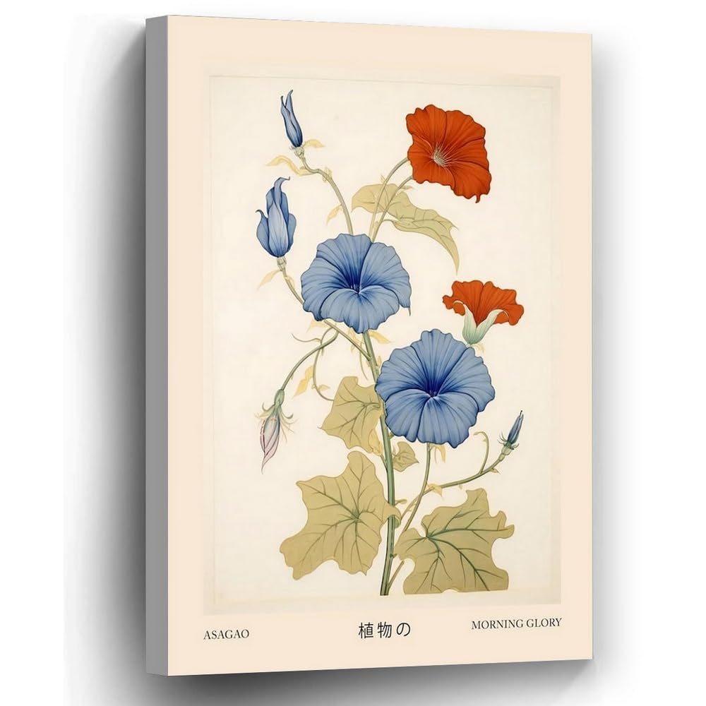HAENJA 8x10 Asagao Morning Glory 1 Vintage Japanese Botanical Poster Art Family Bedroom Office Decor Children Room Poster Photo Paper Print Unframed 20x25cm