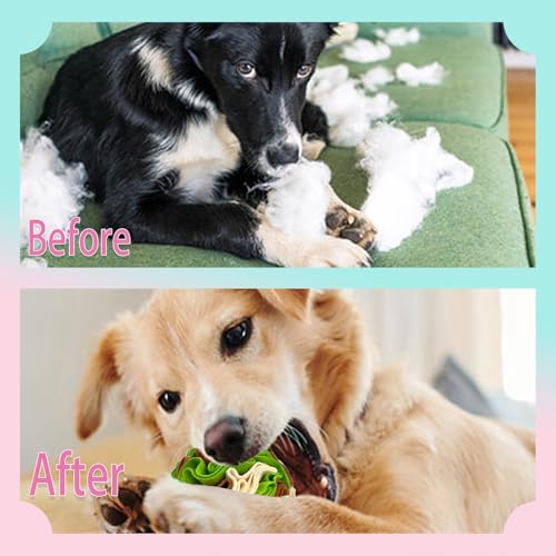 Benepoint Bola de Snuffle para cães, brinquedos de petisco interativo, bola de snuffle de enriquecim