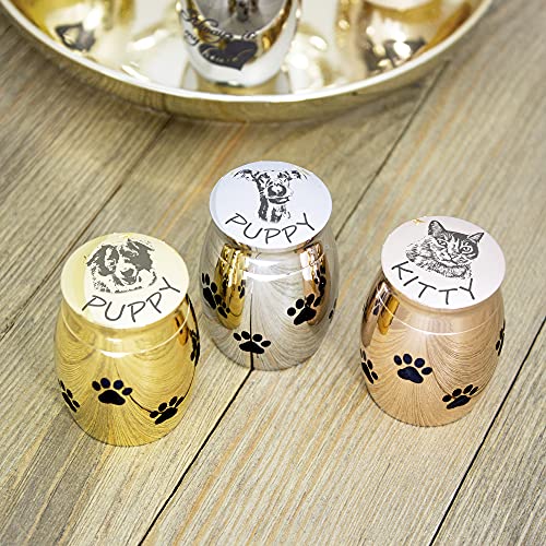 Anavia Mini Dog Paw Print Cremation Urn For Pet Ashes Holder, Photo Customized Pet Portrait Engraved On Cap, Small Memorial Keepsake For Animal Lover Puppy Cat (Silver - Pet Portrait) #TOP3