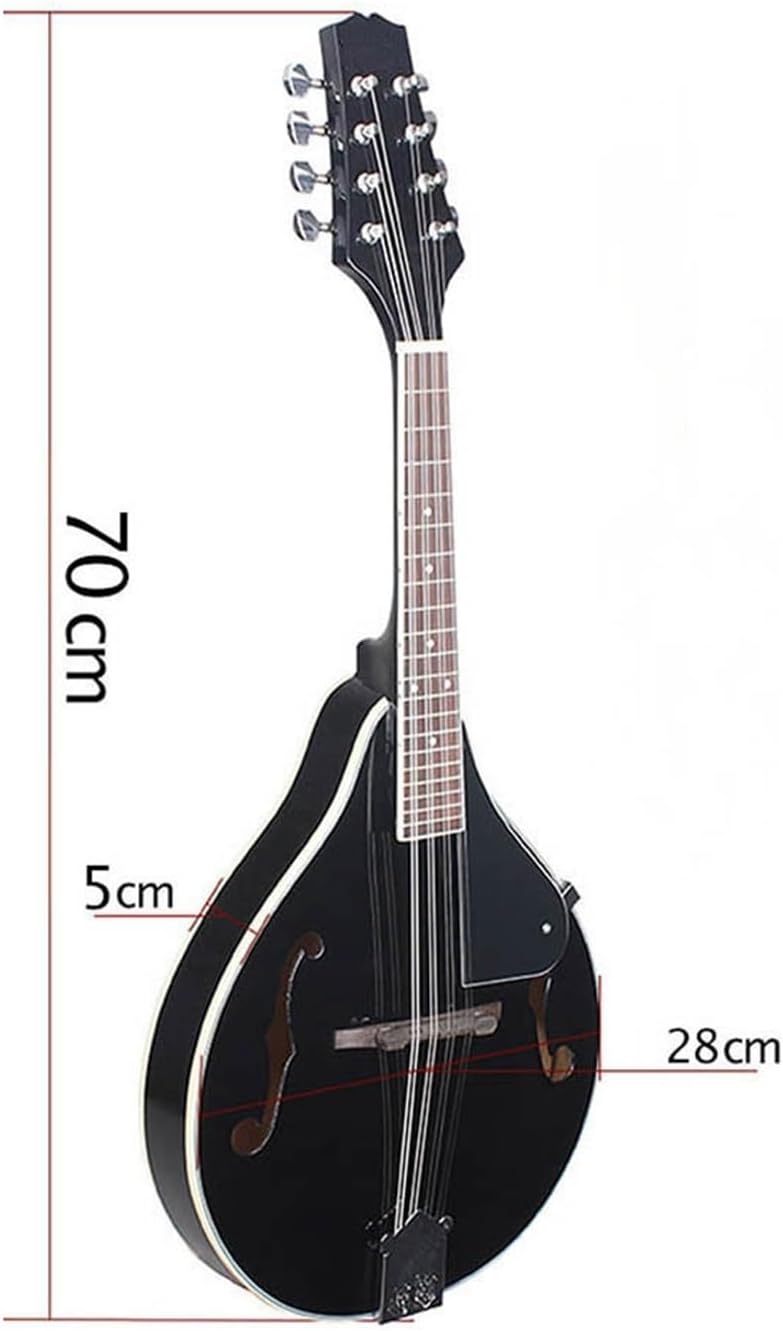 Mandolin Kits | eBay | マンドリン 初心者キット National Musical