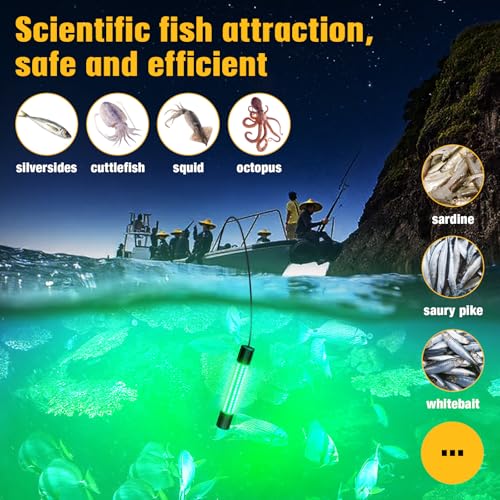 Lampe de pêche sous-marine verte pour attirer calmars et crappies