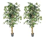 VIGGDA Artificial Ficus Trees 5ft（2pack） with Silk Leaves and Natural Trunk, Faux Ficus Tree with