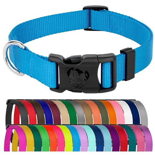 Country Brook Petz - Everyday Nylon Dog Collar for Large, Medium, and Small Dogs and Puppies - for Everyday Use in 30+ Colors (Small, 3/4 Inch Wide, Ice Blue)
