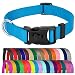 Country Brook Petz | Vibrant 21 Color Selection | Deluxe Nylon Dog Collar (Ice Blue, Large, 1 Inch Wide)
